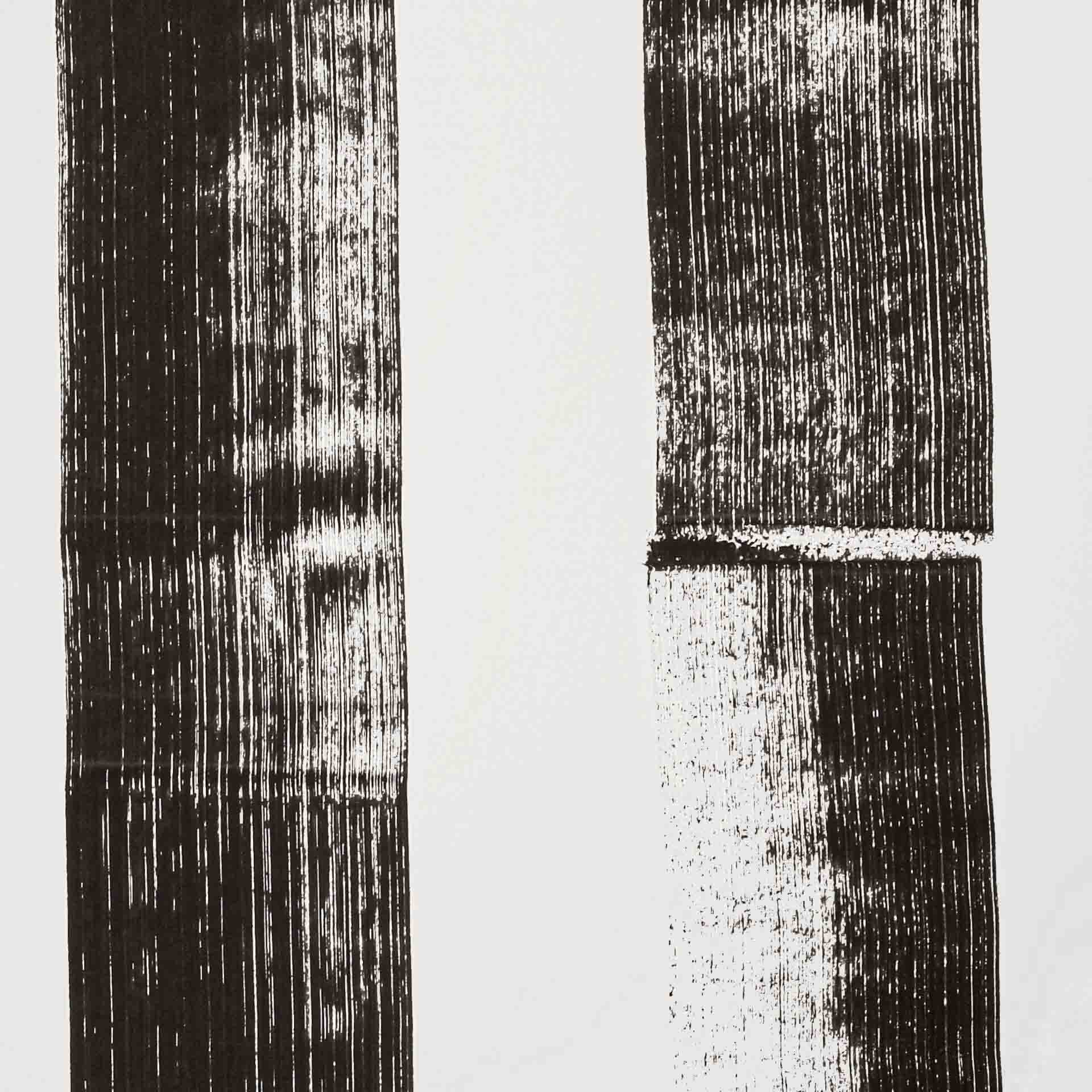 Guido de Boer. NO #7