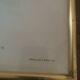 Cadre lithographie Platycercus Icterotis de J Gould & H C Richter