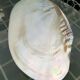 Cupelle mother-of-pearl
