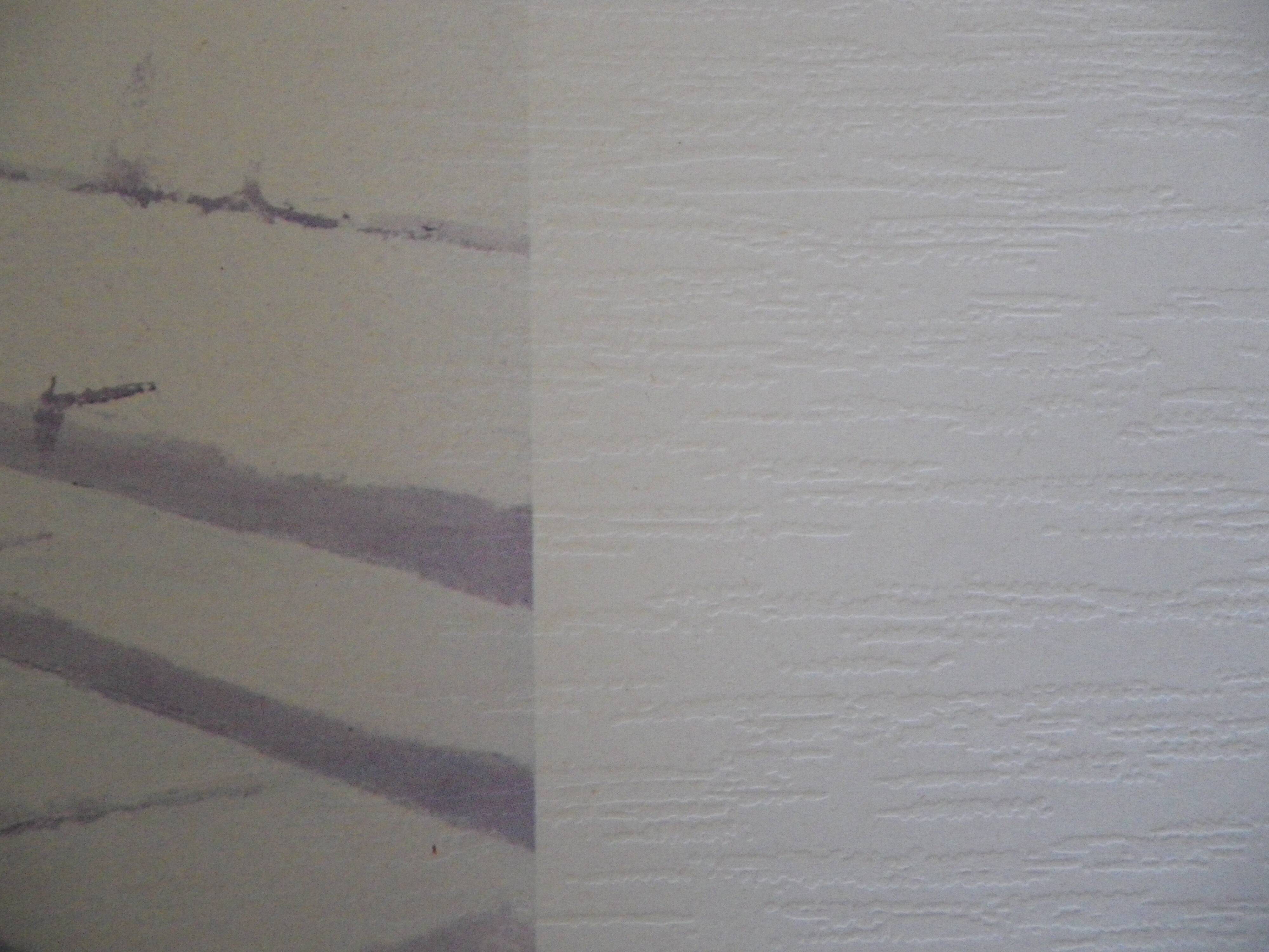 Giorgio Zuppini, Terrace by the Sea with Seagulls, Lithograph, 1970