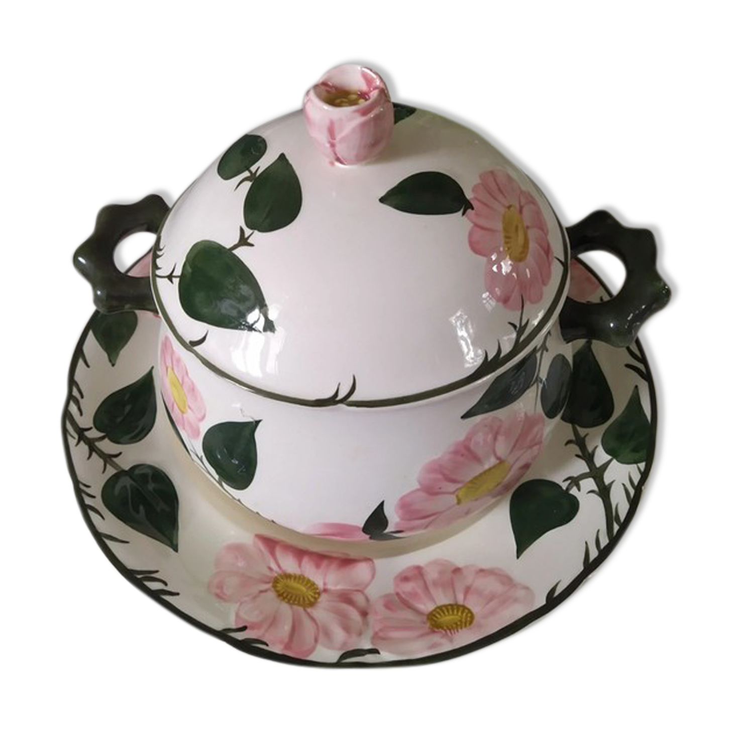 Wild Rose Villeroy & Boch soup dish and plate