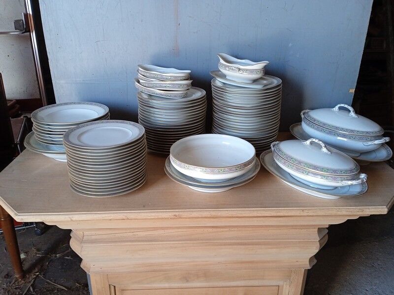 Table service 83 pieces Lions of faience Limoges