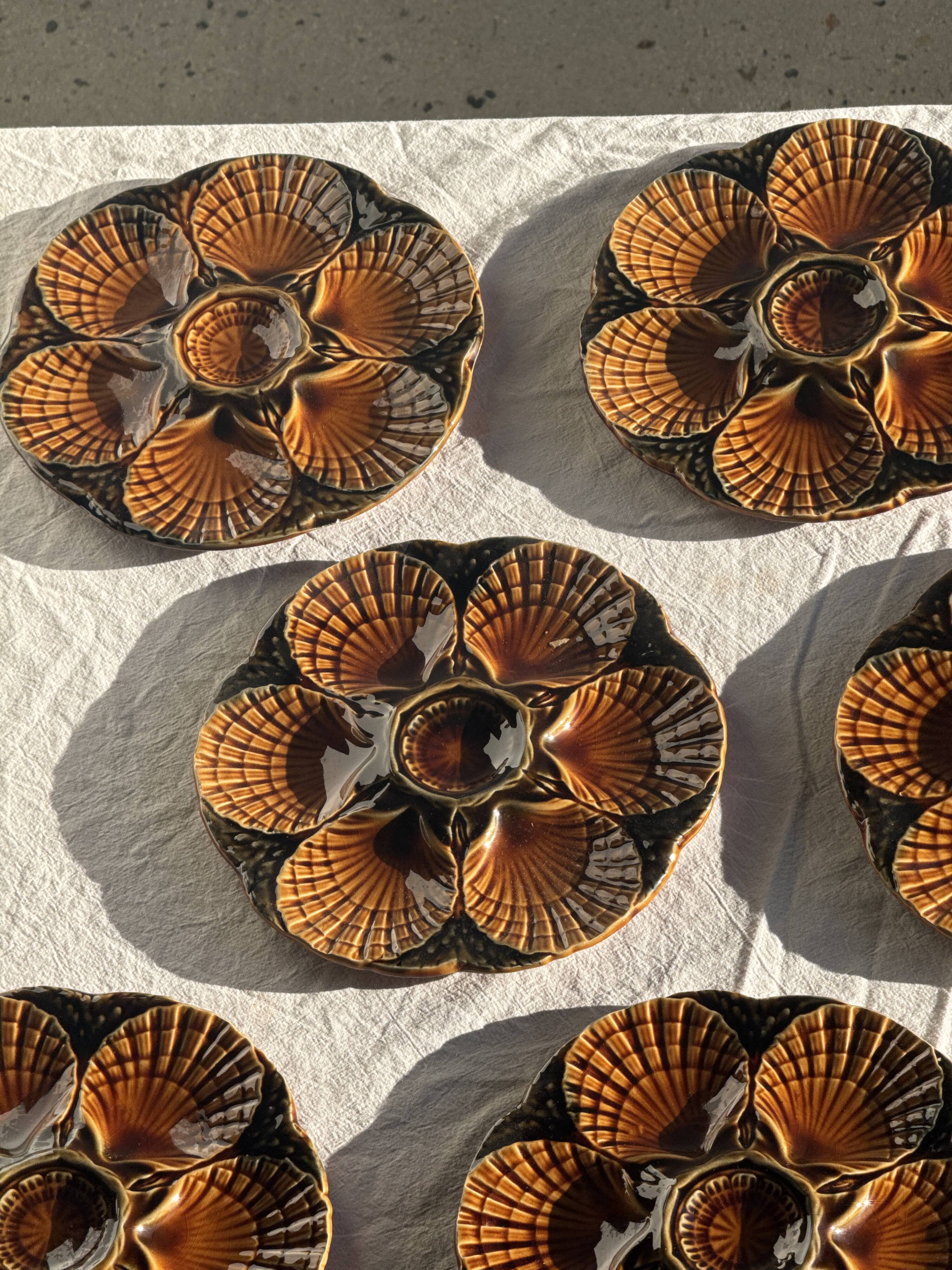 Set of 12 oyster or shell plates in glazed brown ceramic D