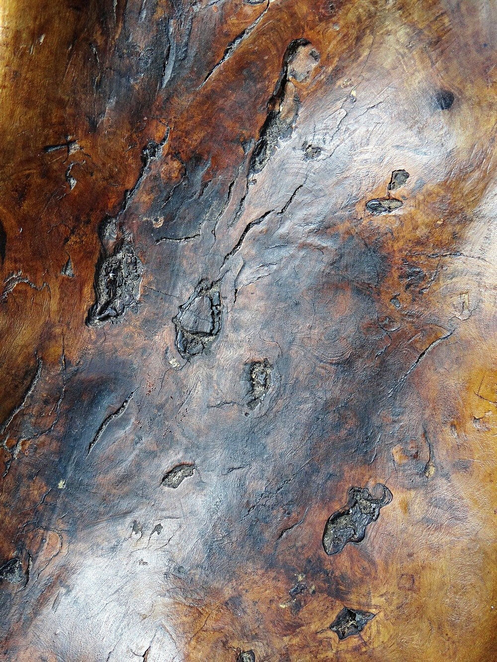 Large monoxyle bowl made of dark raw olive wood from the 1950s.