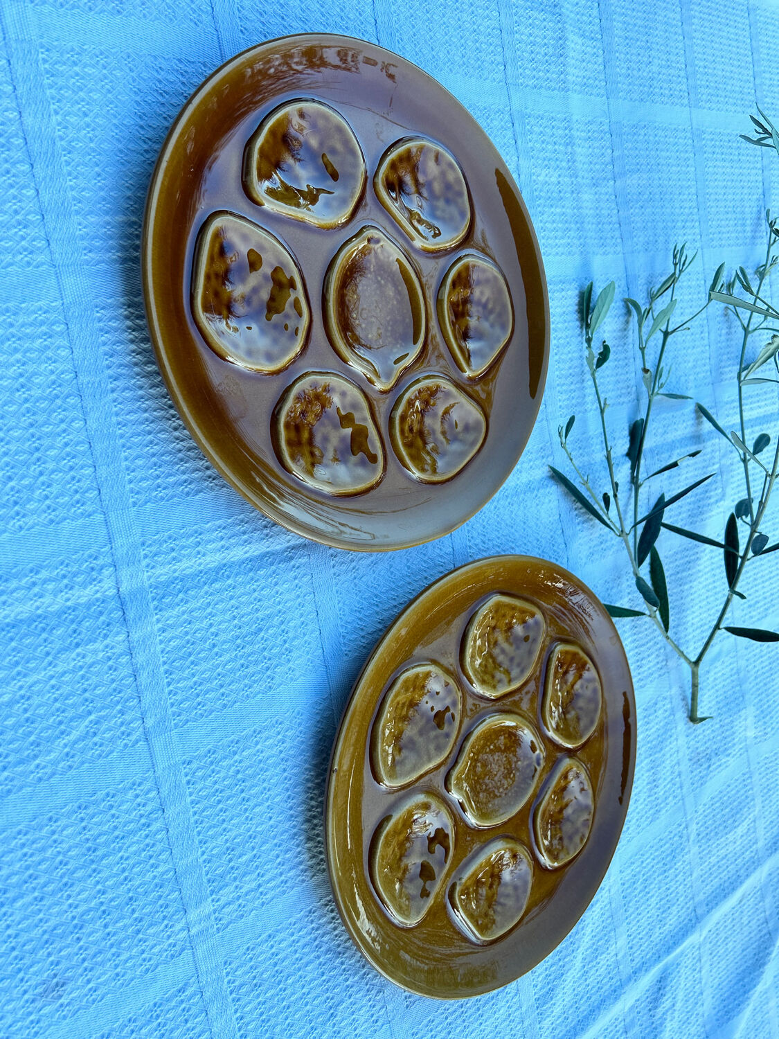 Oyster plates