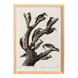 Poster about the peaks, based on an old engraving from 1827.