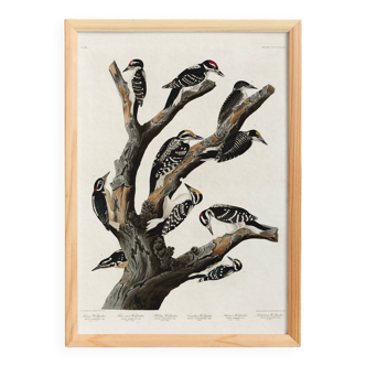 Poster about the peaks, based on an old engraving from 1827.