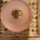 Pastel pink walkade in grained glass