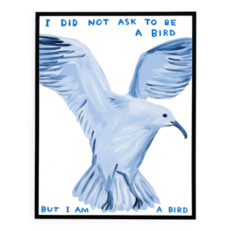 David Shrigley, I Did Not Ask To Be A Bird, 2021