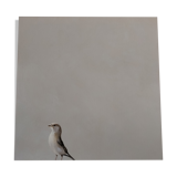 The sparrow