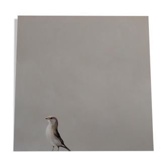 The sparrow