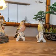 Paire d’oiseaux Karl Ens en porcelaine polychrome de Saxe