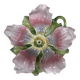 Large clematis slip pocket emptier