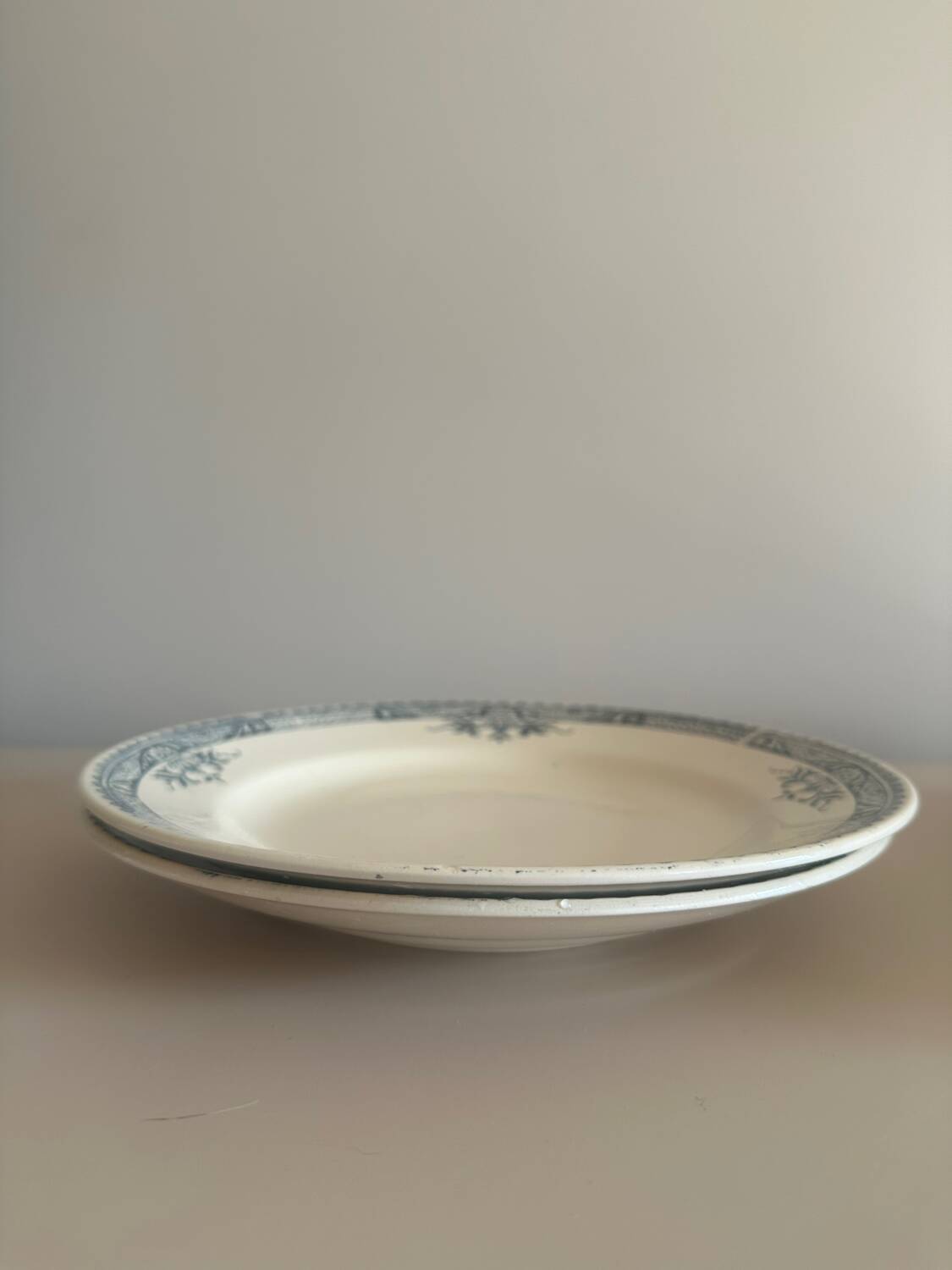 Set of 4 deep plates and 2 flat plates Lily Longchamp