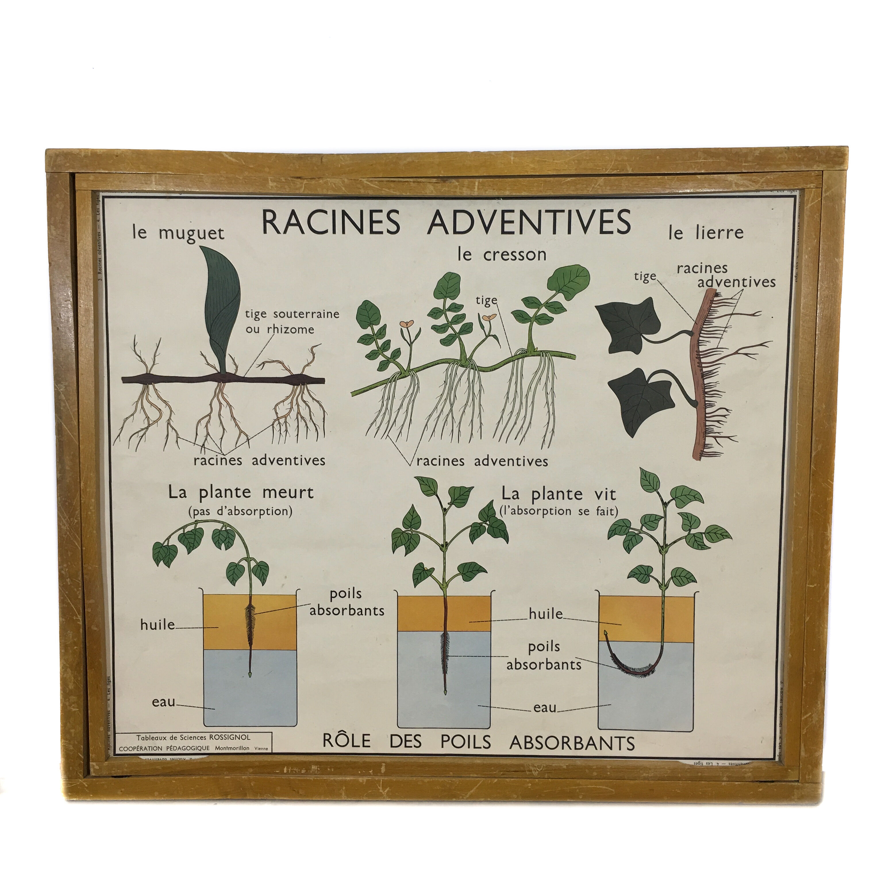 School poster by Rossignol double side
