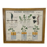 School poster by Rossignol double side