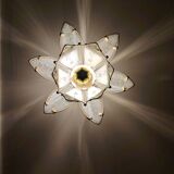 Lotus flower wall sconce in glass with a gold brass rim