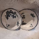 2 hollow iron earthenware plates