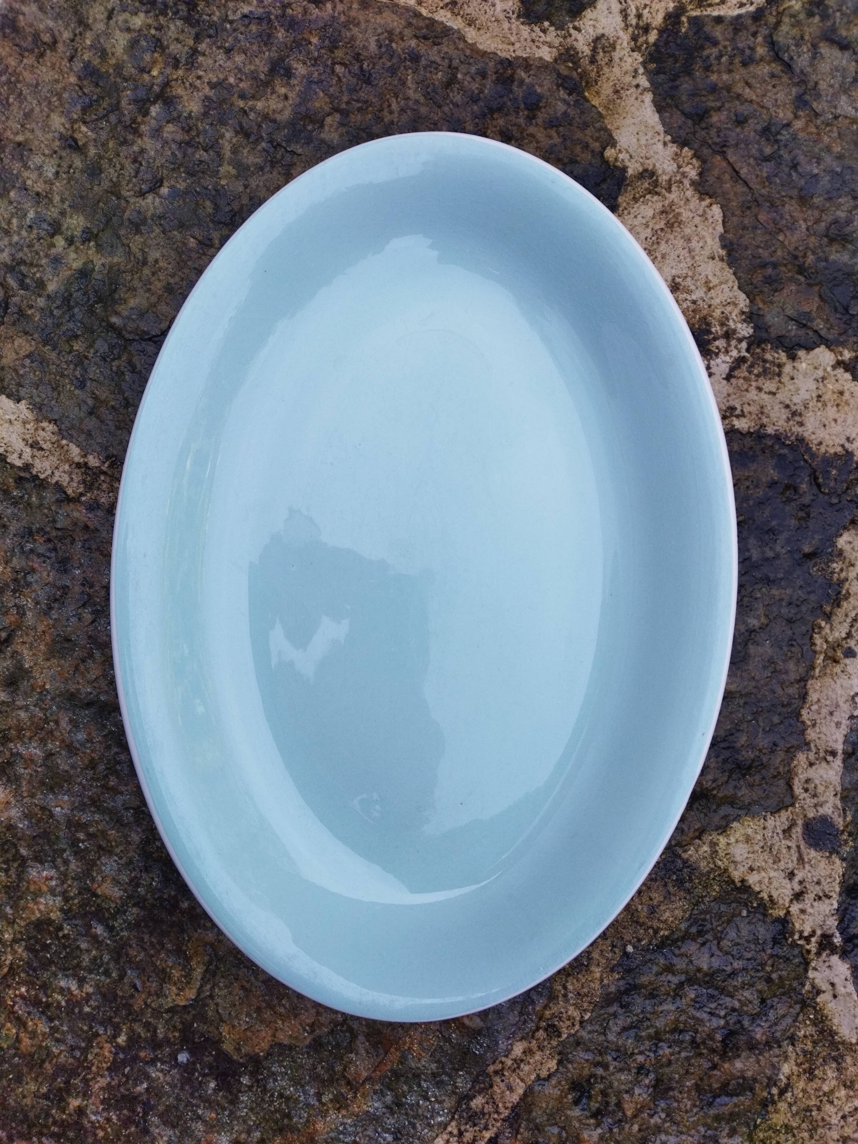 Semi-porcelain dish Céranord celadon green