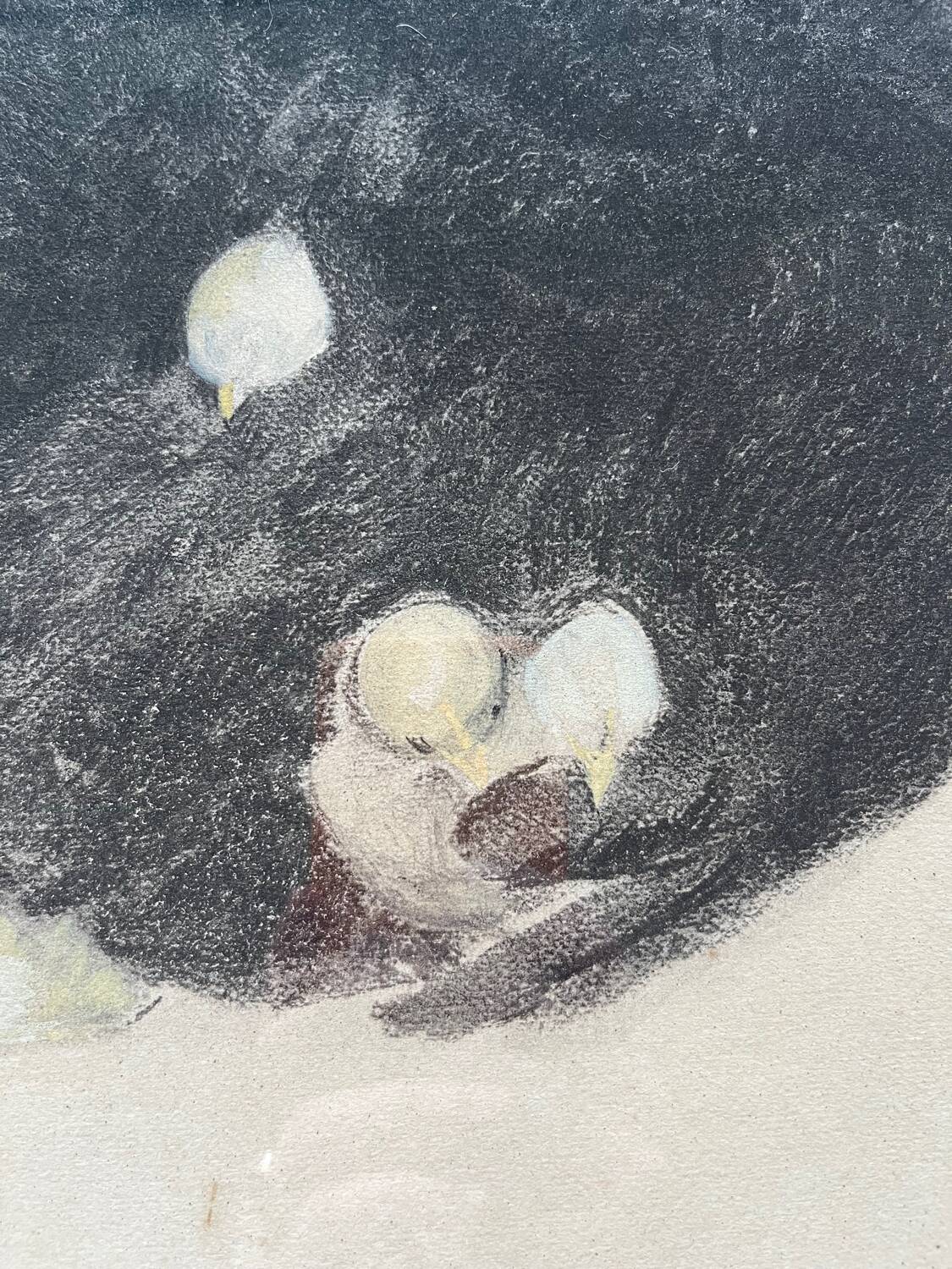 Black hen and her chicks, pastel on paper signed Hélène Rivière