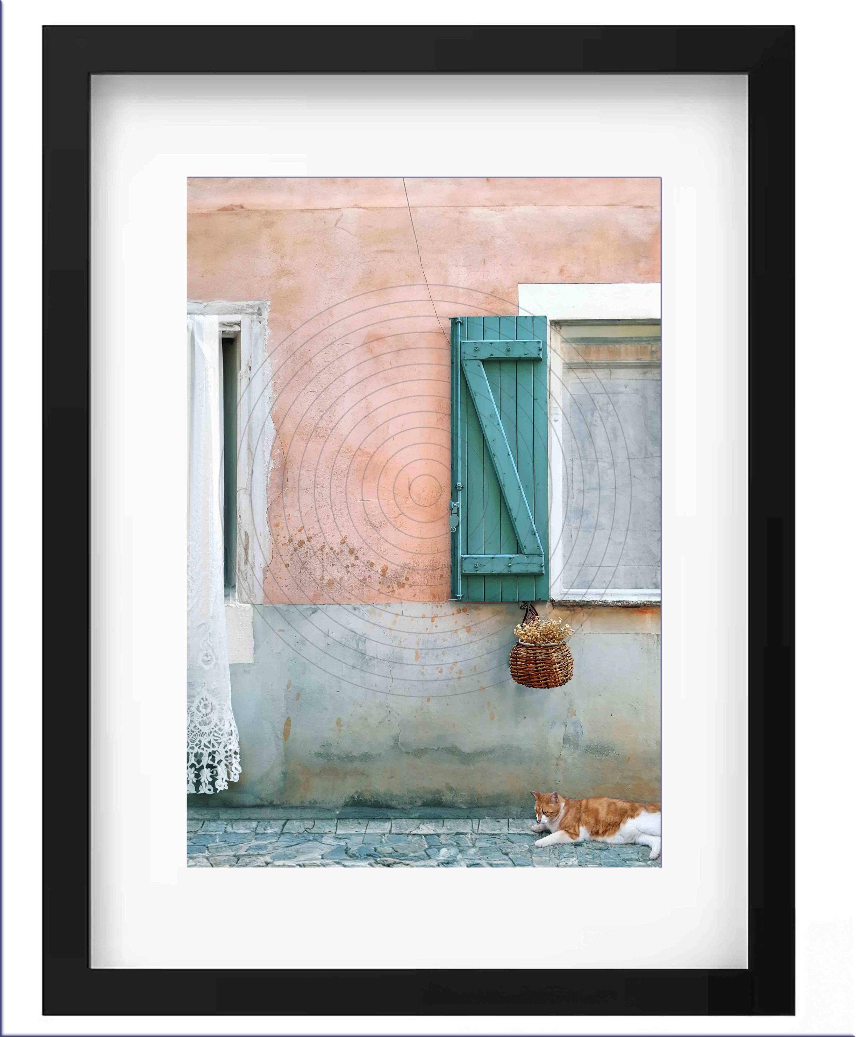 -Blue Shutters- Signed Art Photograph