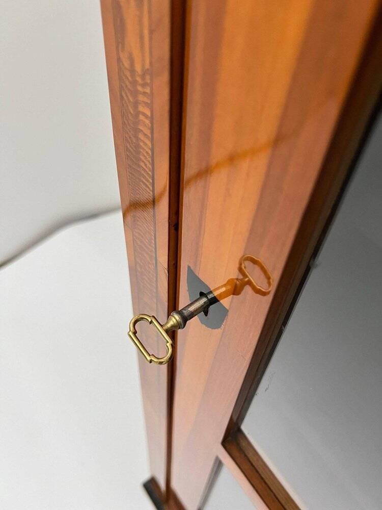 Biedermeier Display Cabinet in Cherry Veneer, Ash Burl, Austria, 1820s