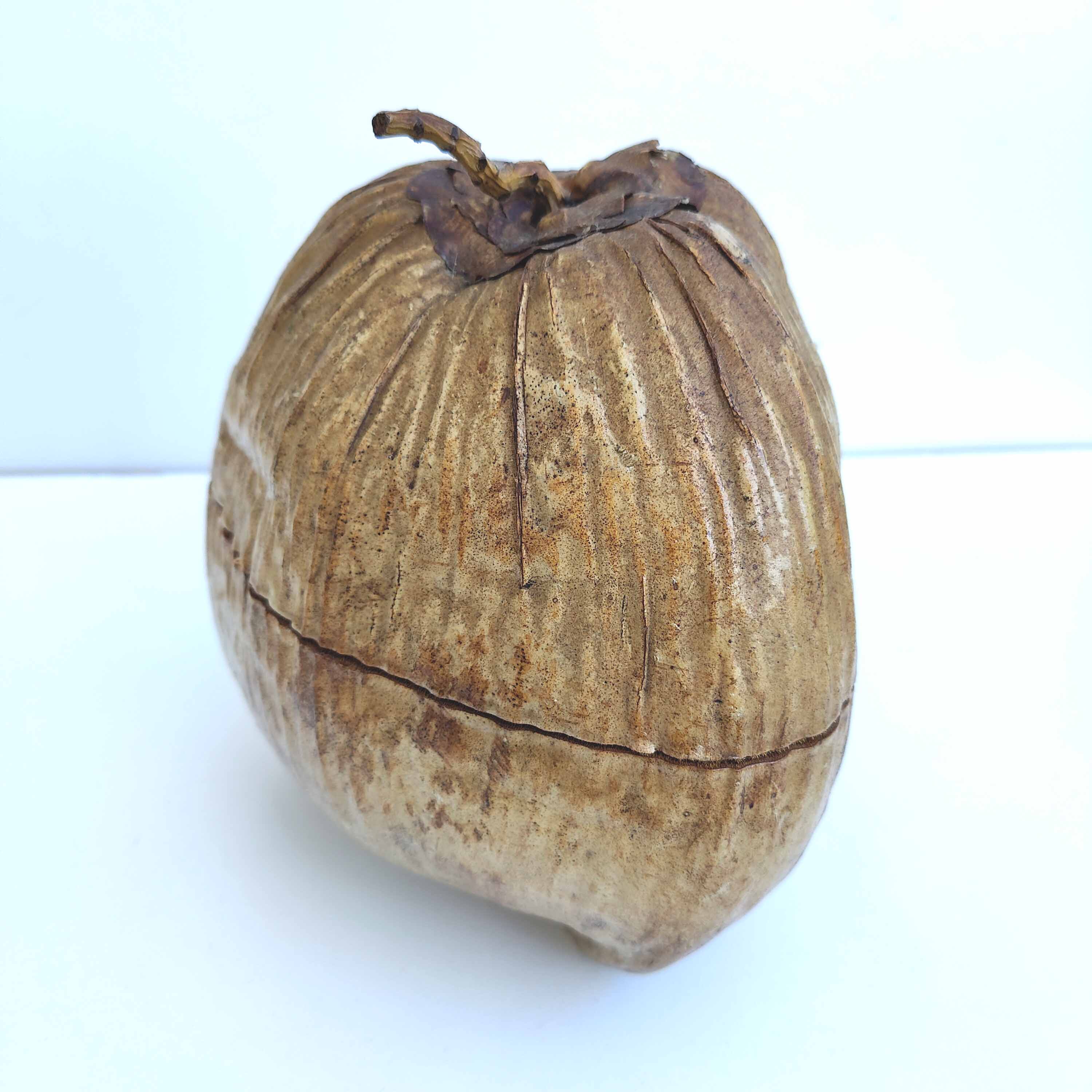 Vintage coconut ice bucket
