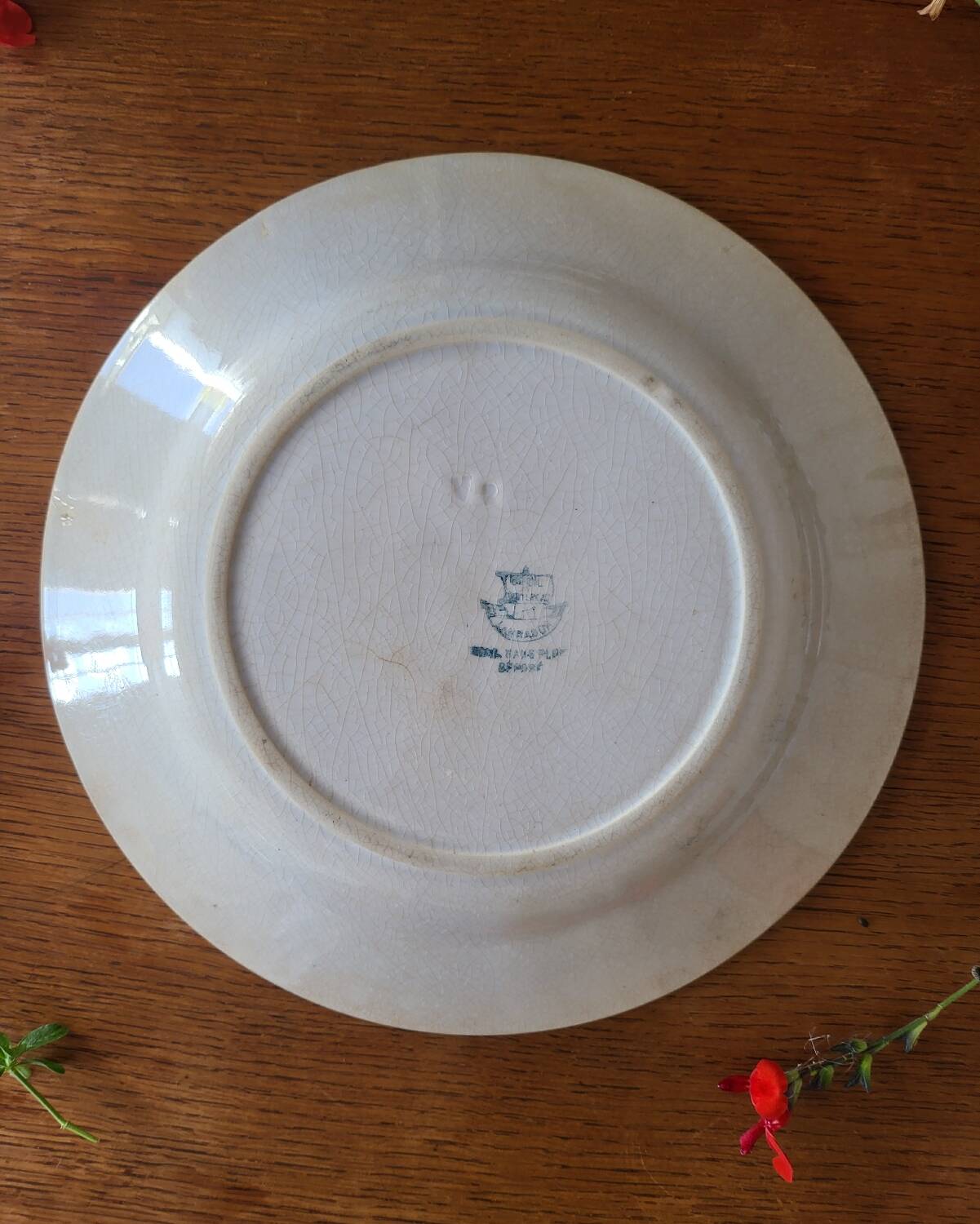 Old Creil and Montereau Earthenware Plate "Labrador" Rooster Decor