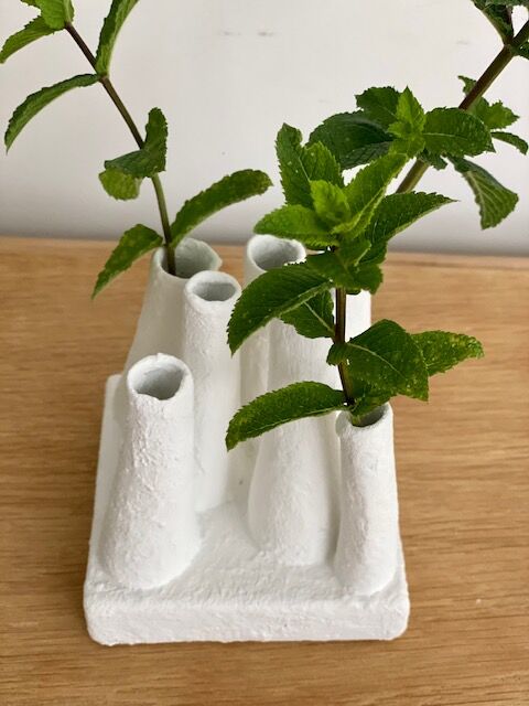 Vase pique flower with matte whitened pipe