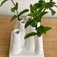 Vase pique flower with matte whitened pipe