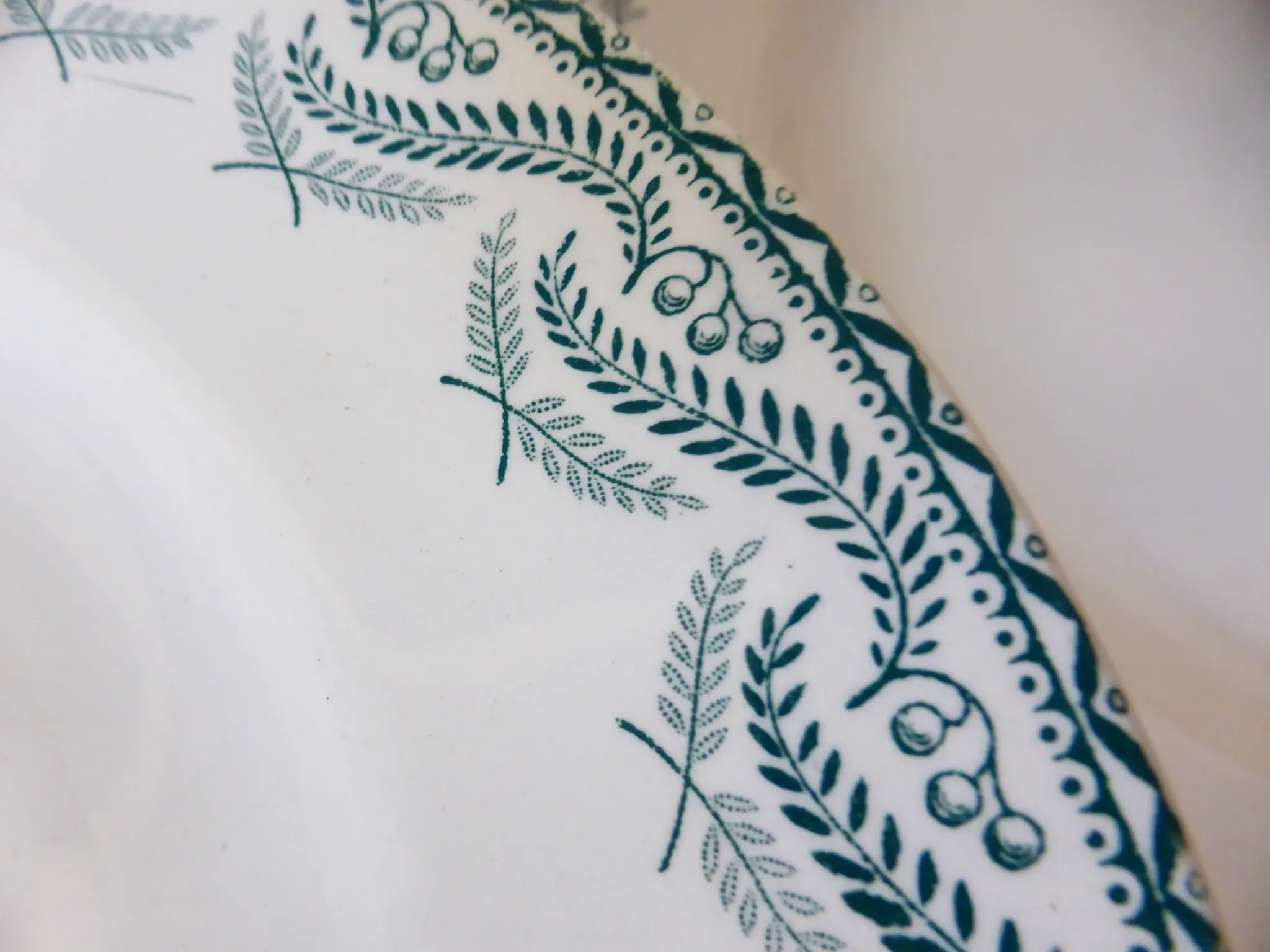 5 flat plates in ironstone from St Amand model Réjane 210726