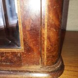 Vitrine cabinet de curiosités 1920