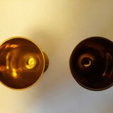 Set of 2 brass cockroaches