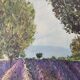 Oil on Canvas Landscape Almond Trees and Lavenders signed Jean Claude Fer