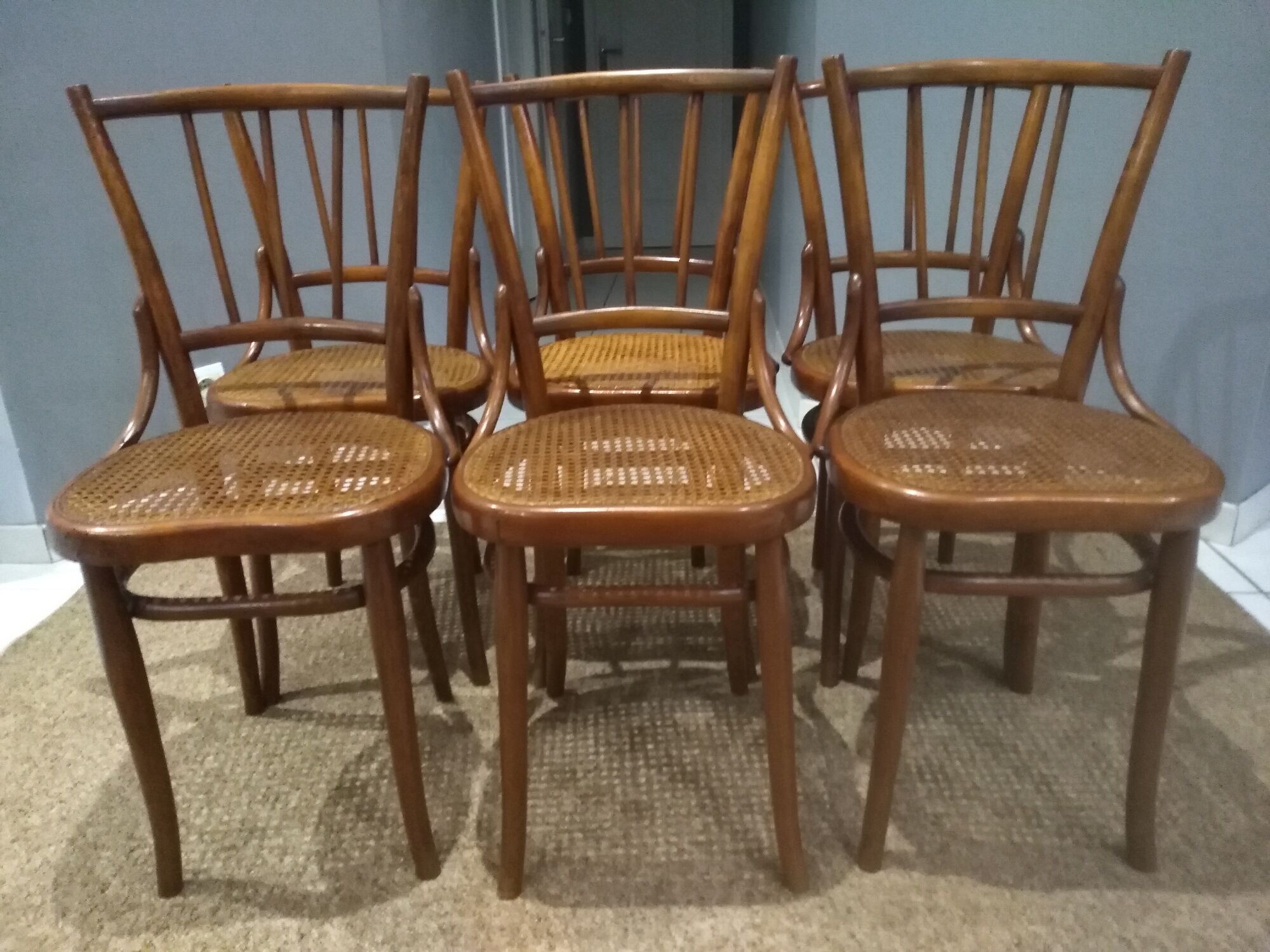 Suite of 6 chairs by Bistrot Austro-Hungarian Fium 1890