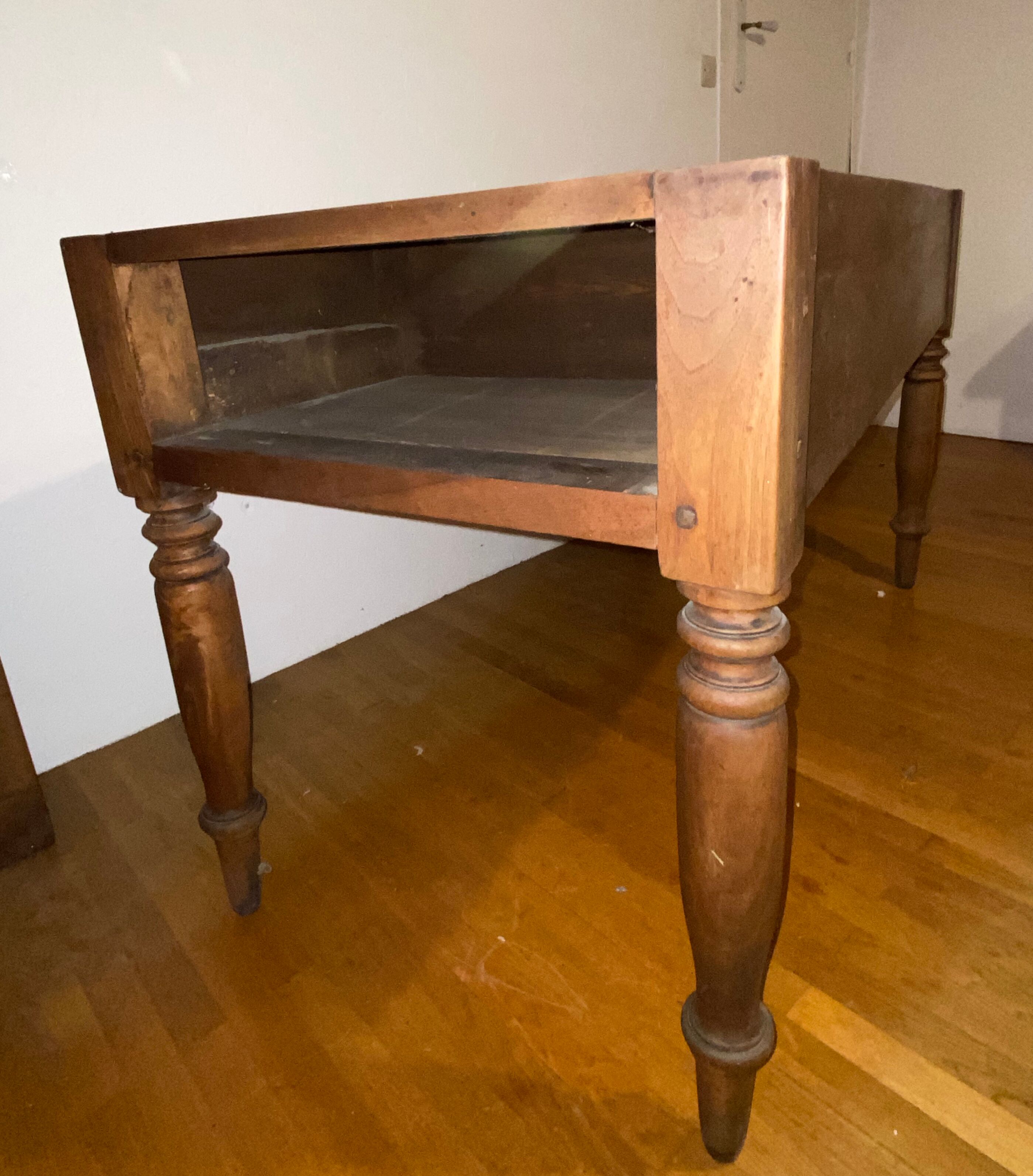 Dolphin table petri dish