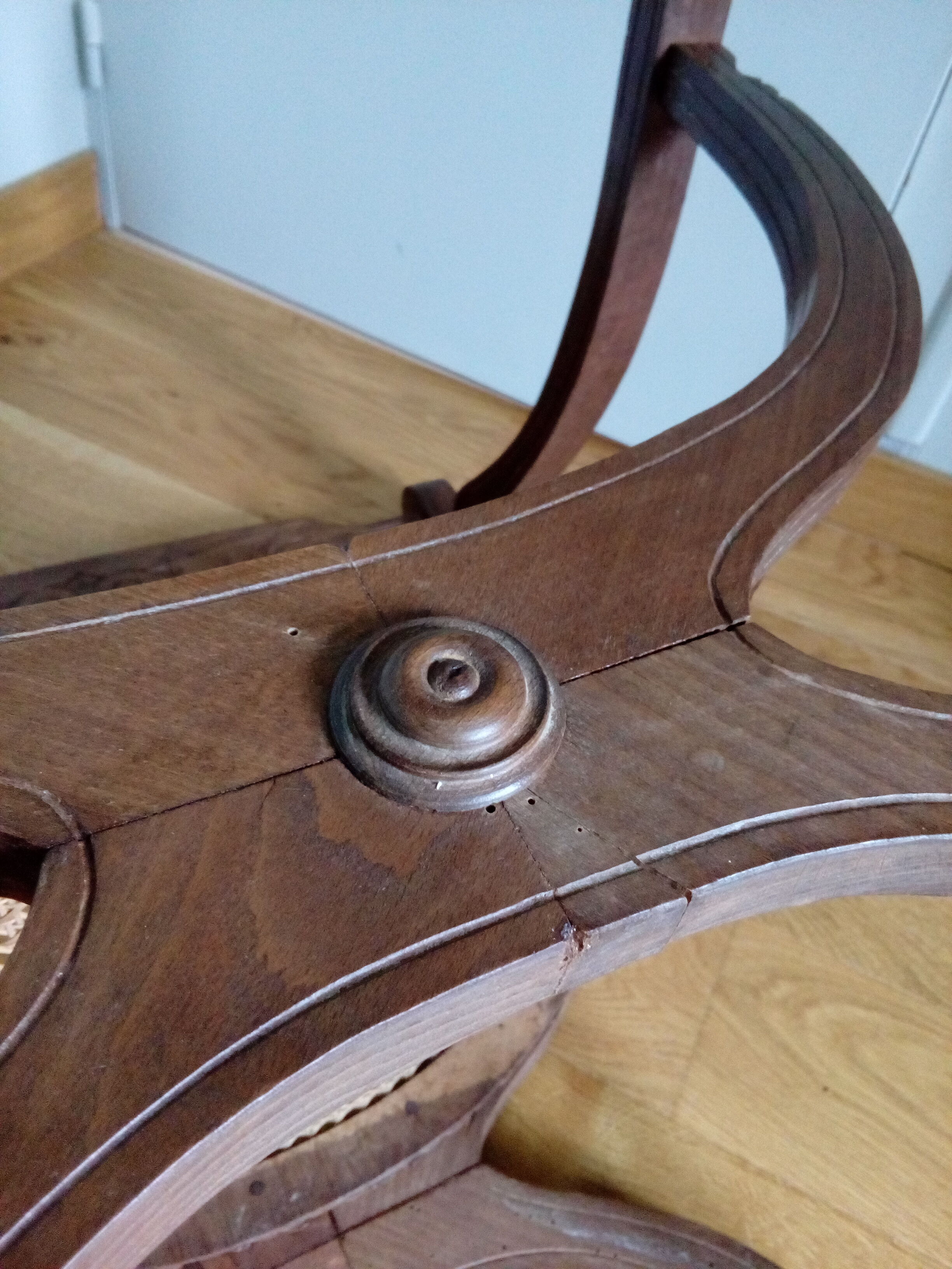 Curule or dagobert canna chair