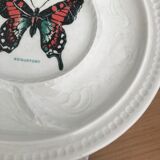 Comartiment plates