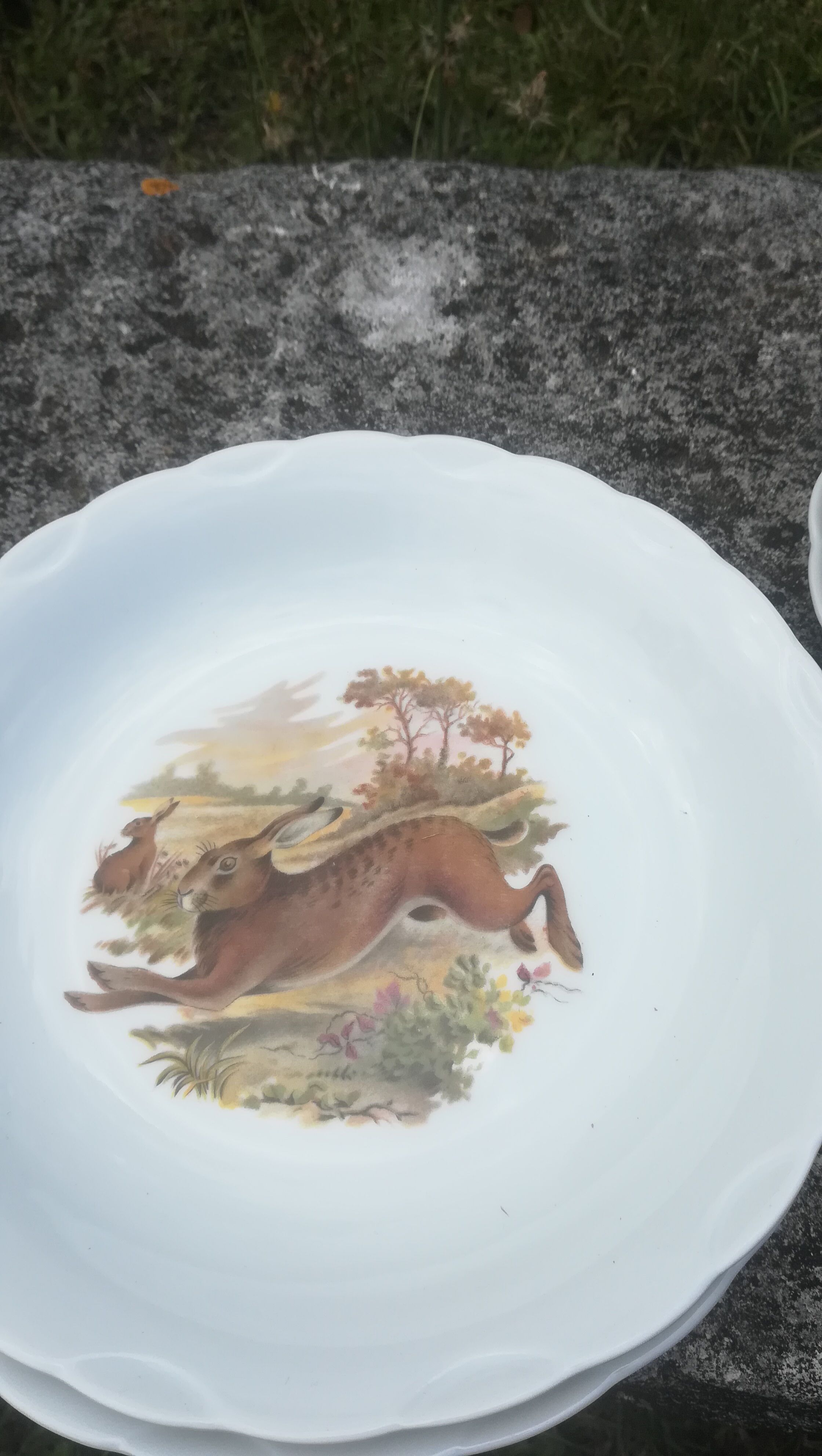 8 hollow plates animal decorations