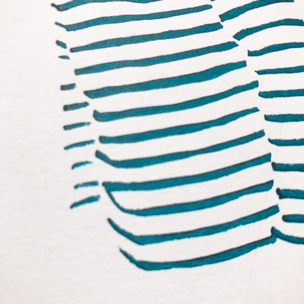 Illustration Marinière