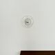 Donut Wall or Ceiling Lamp by J.T. Kalmar