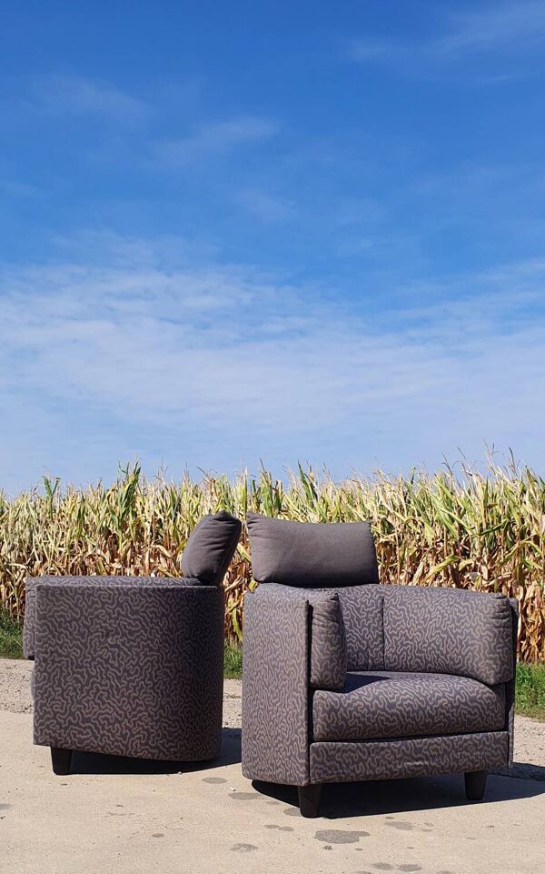 Set 2 - Design français Carina Cinna Ligne Roset