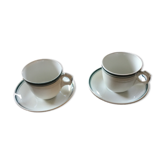 Cup and saucer Sarreguemines iron earth