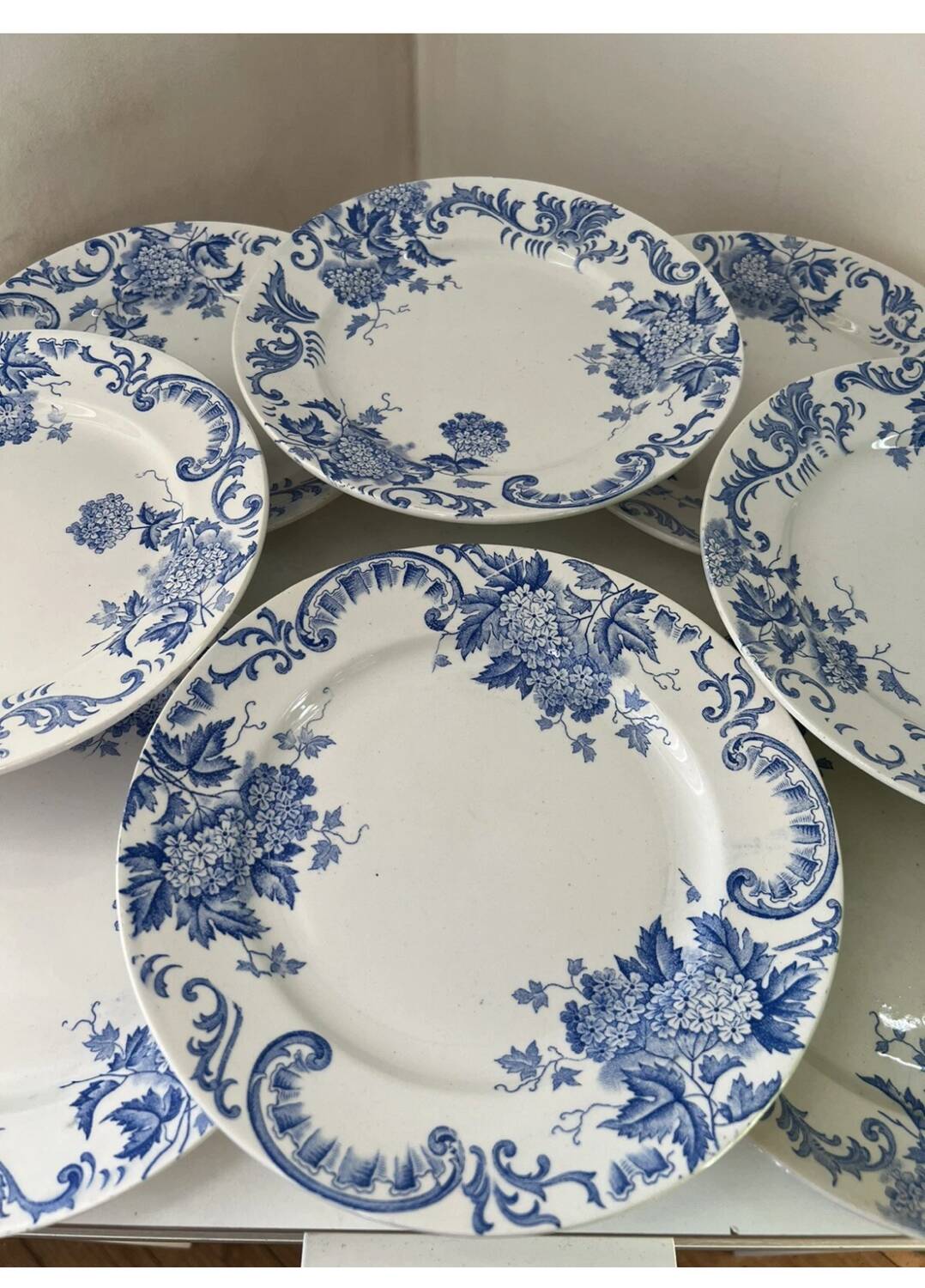 Set of 8 Terre de Fer Saint Amand & Hamage Snowball Plates