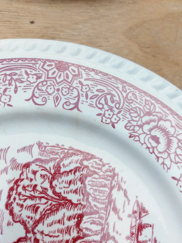 5 Badon dinner plates