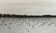Photography silver print black and white circa 1970 sunset