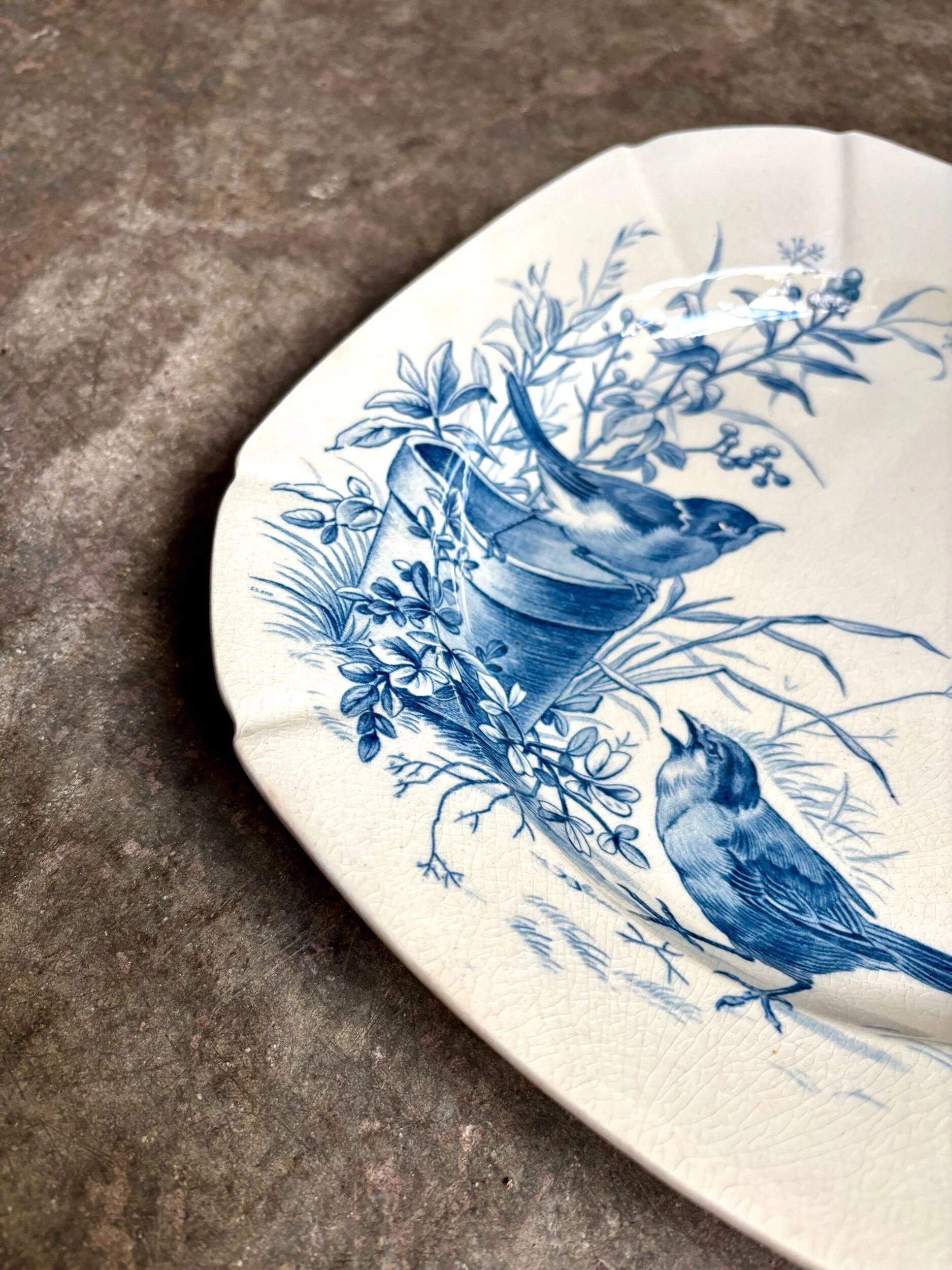 Hollow plate Gien in blue ironstone, "Birds" service circa 1870 no. 6