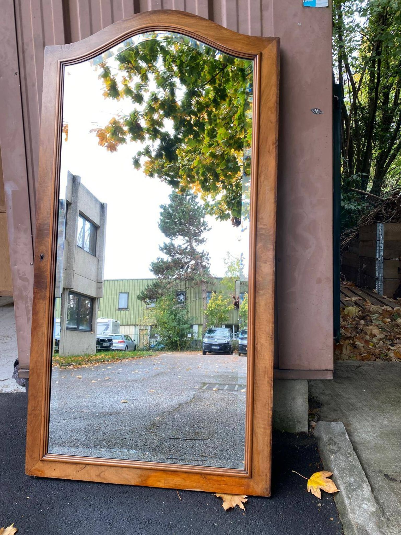 Louis XV beveled mirror in concave burr walnut 85x165cm