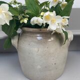 Sandstone ear pot