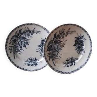 Set of 2 vintage plates blackberry pattern iron earth Badonvillier